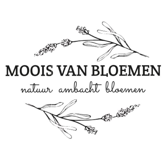 Mobirise